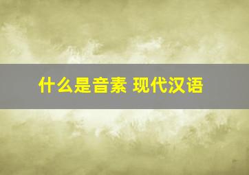 什么是音素 现代汉语